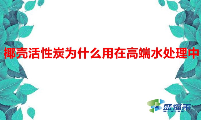 椰殼活性炭為什么用在高端水處理中