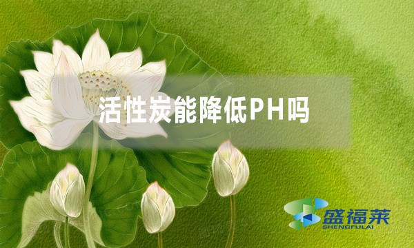 活性炭能降低PH嗎？為什么？