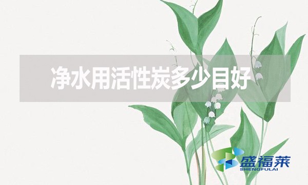 凈水用活性炭多少目好？有哪些優(yōu)缺點(diǎn)？