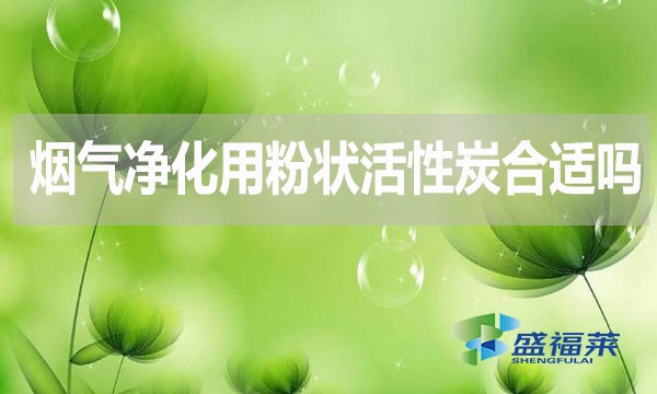 煙氣凈化用粉狀活性炭合適嗎？