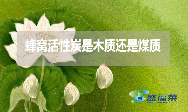 蜂窩活性炭是木質(zhì)還是煤質(zhì)？哪種好？