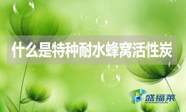 什么是特種耐水蜂窩活性炭？哪里能用到？