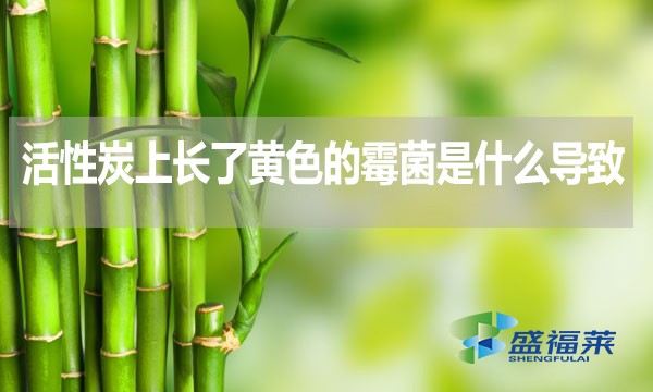 活性炭上長了黃色的霉菌是什么導(dǎo)致的？還能不能使用？